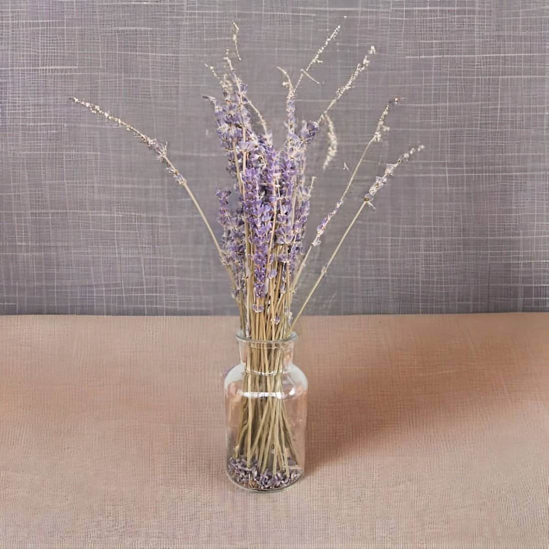Clear glass vase with lavender and dry grasses on a beige surface with a gray textured background
