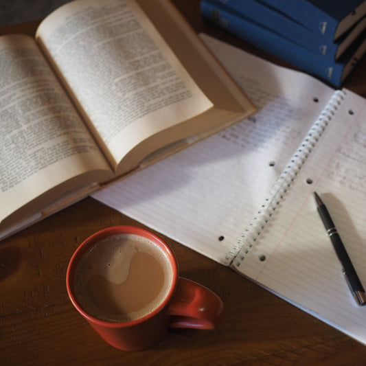 Essential Oils for Focus and Concentration: A Scent Guide for Study and Work