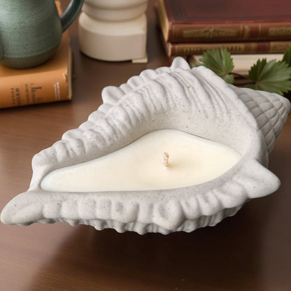 Shell-shaped candle on a wooden surface with books and a plant in the background