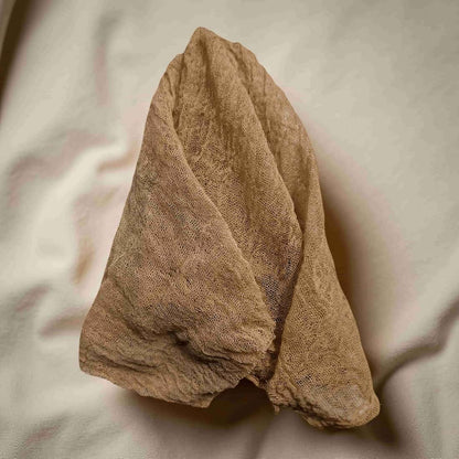 Brown textured gauze on a beige surface