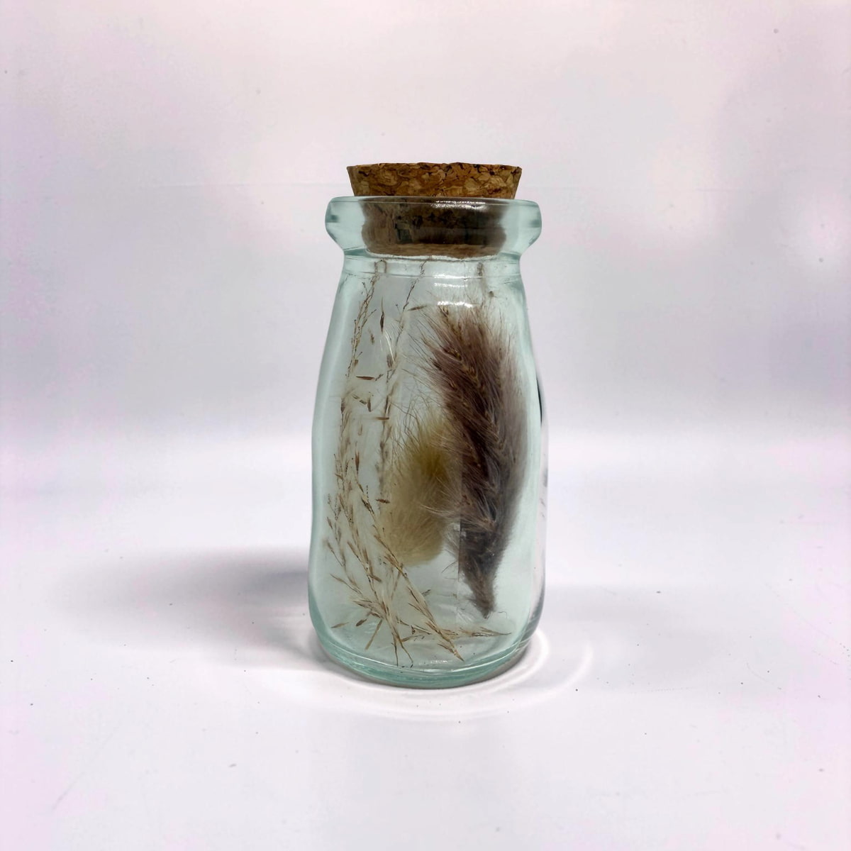 Pampas Apothecary Bottle