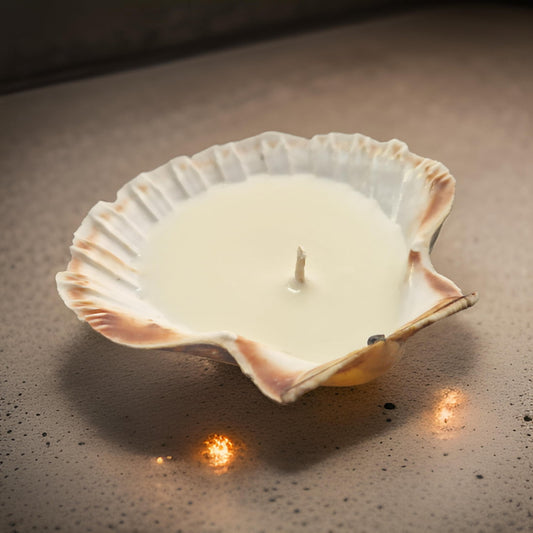 Candle inside a shell on a textured surface
