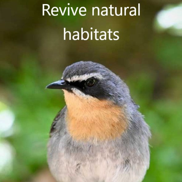 Bird with a blurred natural background and text 'Revive natural habitats'