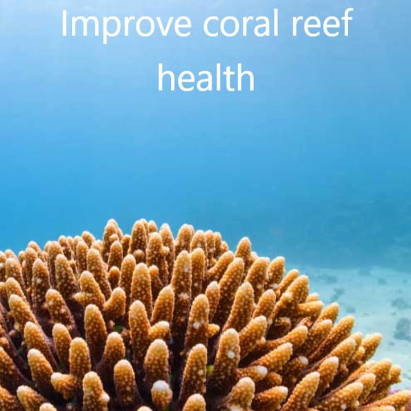 Coral reef with text 'Improve coral reef health' on a blue background