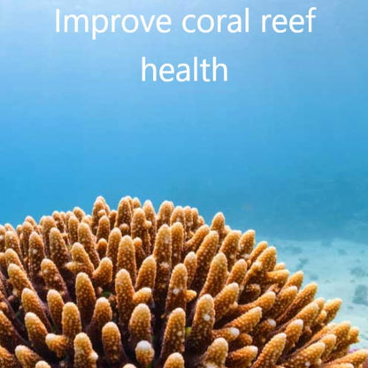 Coral reef with text 'Improve coral reef health' on a blue background