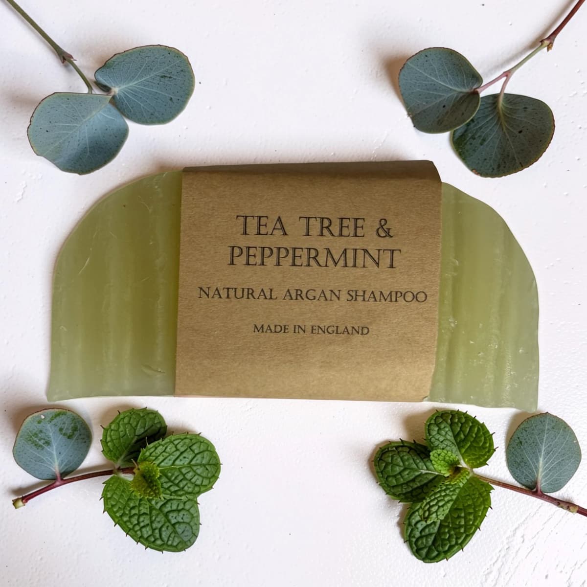 Green natural argan shampoo bar with 'Tea Tree & Peppermint' label on a white background with green leaves.