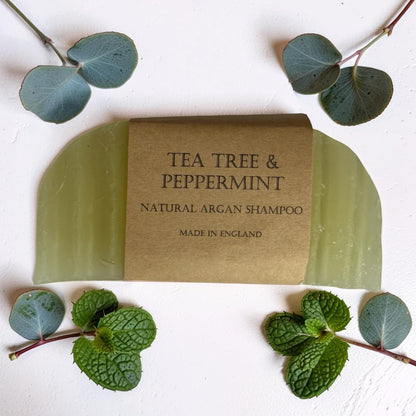 Green natural argan shampoo bar with 'Tea Tree & Peppermint' label on a white background with green leaves.