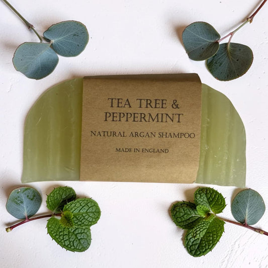 Green natural argan shampoo bar with 'Tea Tree & Peppermint' label on a white background with green leaves.