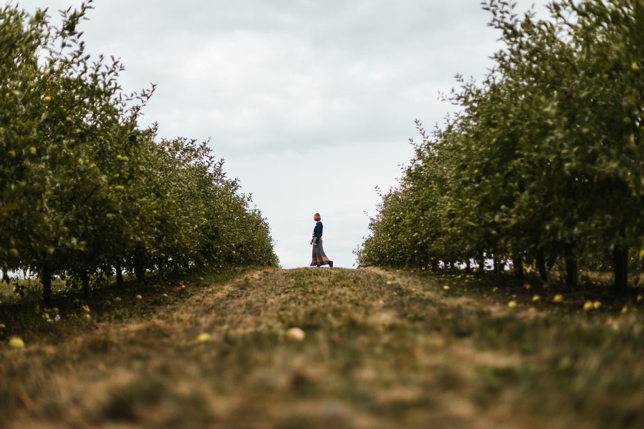 woman-stands-at-the-edge-of-an-orchard