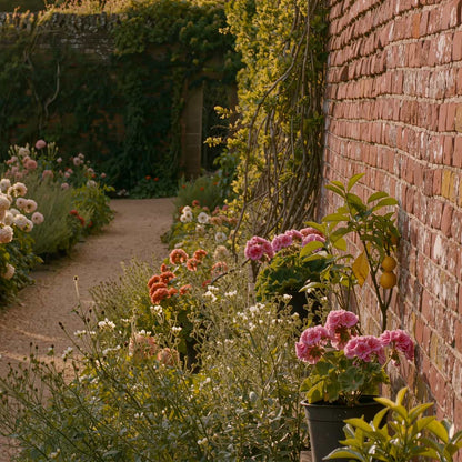 A lush garden pathway lined with blooming pink and orange flowers, green foliage, potted plants, and a red brick wall under warm natural light.