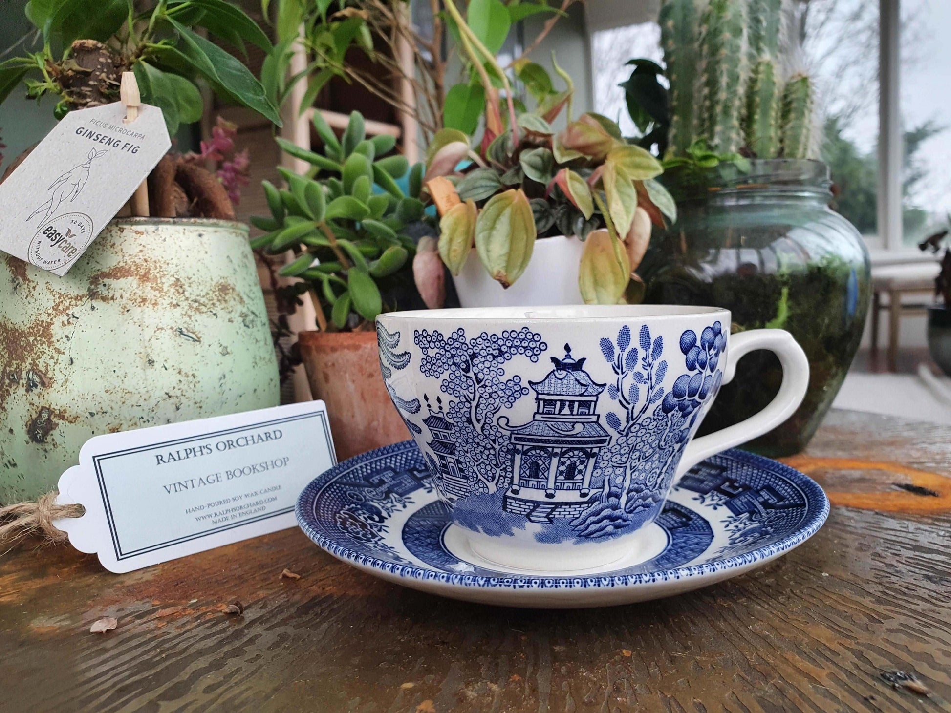 Blue Willow teacup candle with Vintage Bookshop scented soy wax Candles Ralph's Orchard 