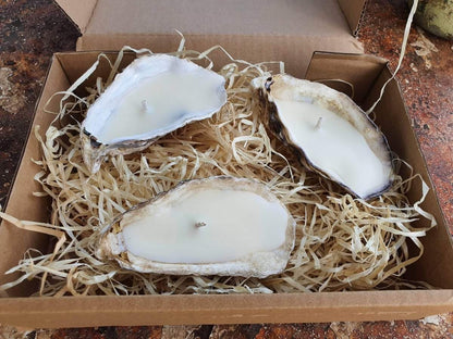 oyster shell candles
