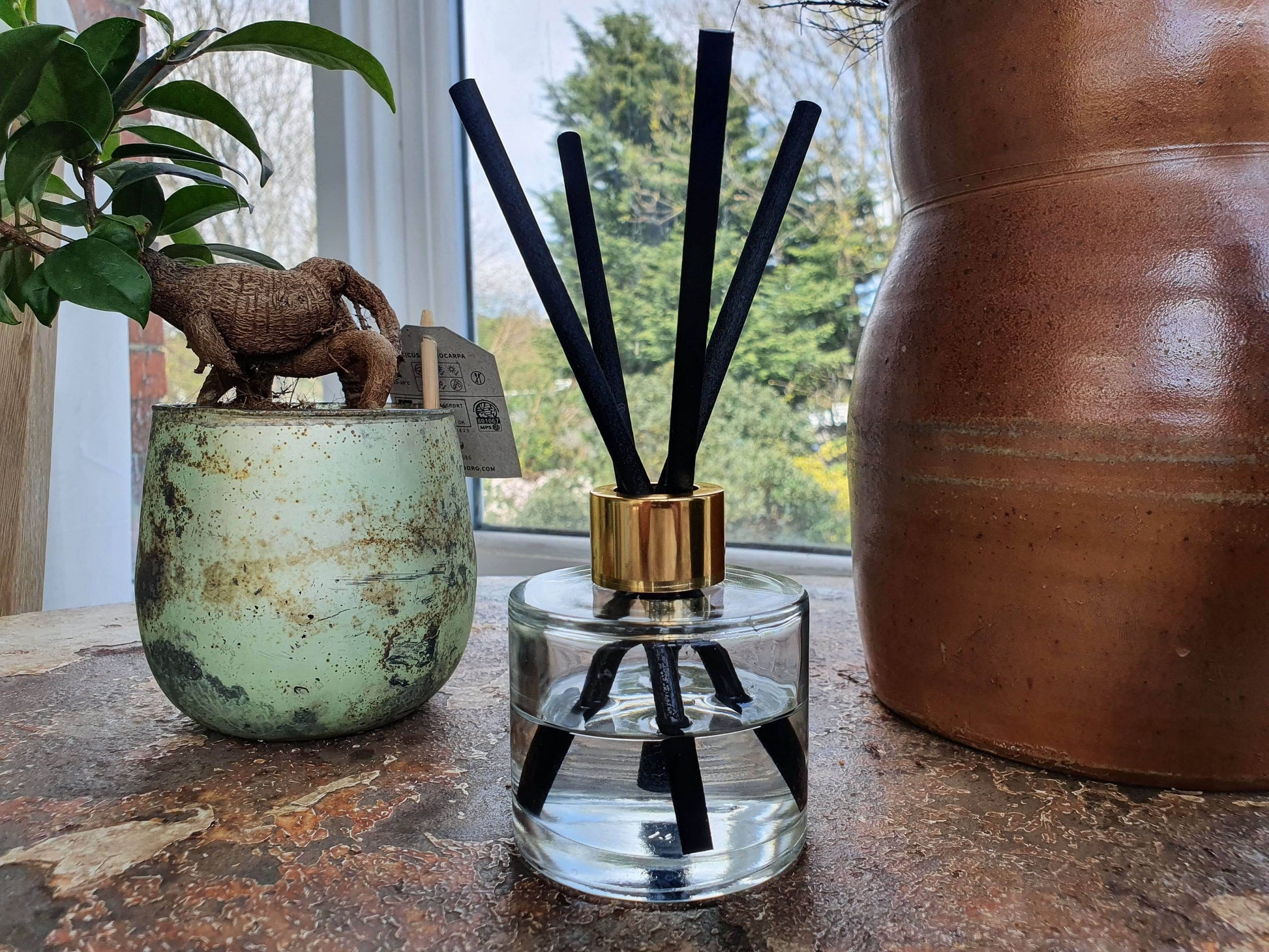 reed diffuser with thick black reeds, plants in backrgound