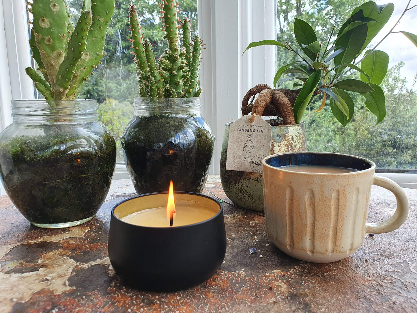 Eco-friendly vegan scented soy candles in luxury black tins